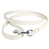 Pet Leash