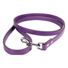 Pet Leash (Color: purple, size: 2.0x120cm)