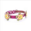 high-end pet dog collar