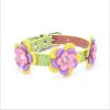high-end pet dog collar