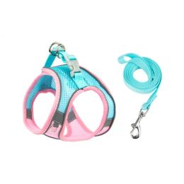 Breathable Puppy Mesh Seat Belt (Color: Powder Blue, size: XXS)
