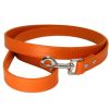 Wholesale Pet Leash