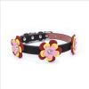 high-end pet dog collar