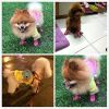 Warm Winter Little Pet Dog Boots Skidproof Soft Snowman Anti-Slip Sole Paw Protectors Small Puppy Shoes 4PCS
